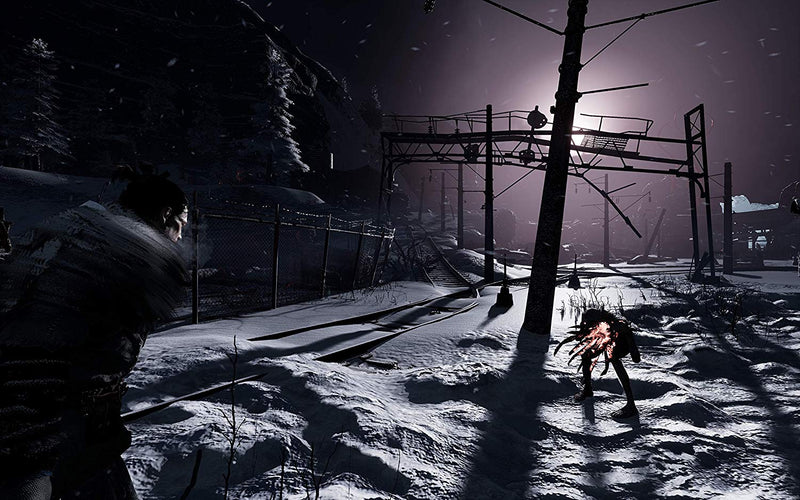 Fade to Silence [PlayStation 4] PlayStation 4 Video Game THQ Nordic   