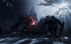 Fade to Silence [PlayStation 4] PlayStation 4 Video Game THQ Nordic   