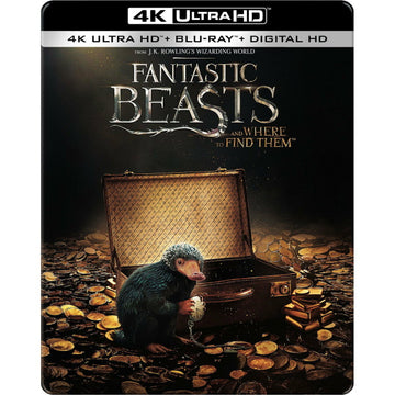 Fantastic Beasts and Where to Find Them - 4K Limited Edition SteelBook - Best Buy Exclusive [Blu-ray + 4K UHD + Digital] DVDs & Blu-Rays Warner Bros.   