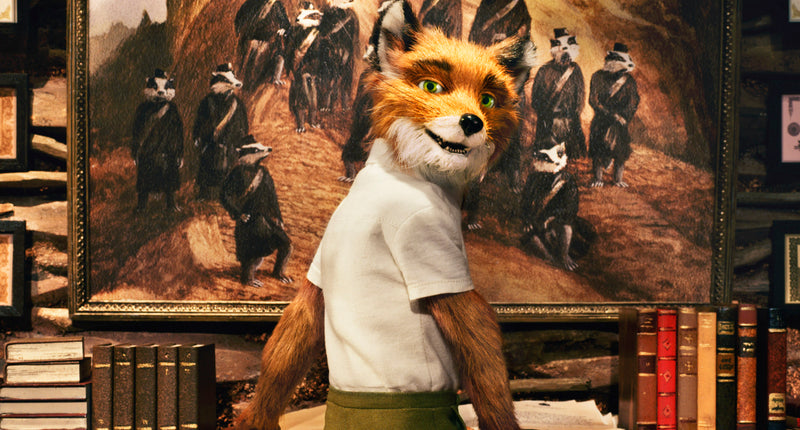 Fantastic Mr. Fox [DVD] DVDs & Blu-Rays 20th Century Fox   