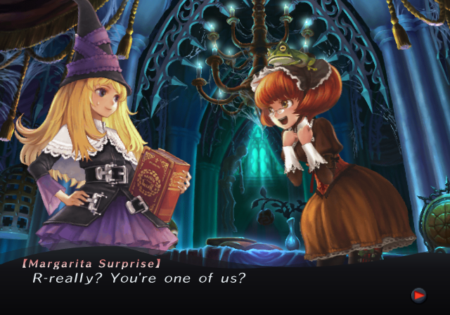 GrimGrimoire [PlayStation 2] PlayStation 2 Video Game NIS America   