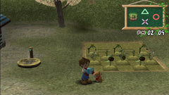 Harvest Moon: A Wonderful Life Special Edition [PlayStation 2] PlayStation 2 Video Game Natsume   