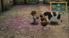 Harvest Moon: A Wonderful Life Special Edition [PlayStation 2] PlayStation 2 Video Game Natsume   