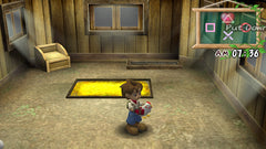 Harvest Moon: A Wonderful Life Special Edition [PlayStation 2] PlayStation 2 Video Game Natsume   