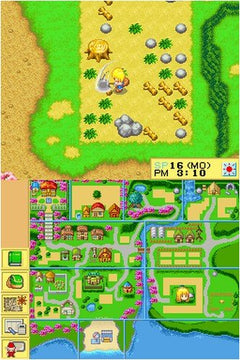 Harvest Moon DS Cute [Nintendo DS DSi] Nintendo DS DSi Video Game Natsume   
