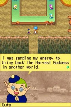 Harvest Moon DS [Nintendo DS DSi] Nintendo DS DSi Video Game Natsume   