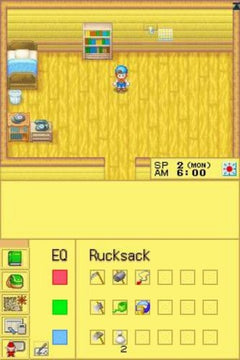 Harvest Moon DS [Nintendo DS DSi] Nintendo DS DSi Video Game Natsume   
