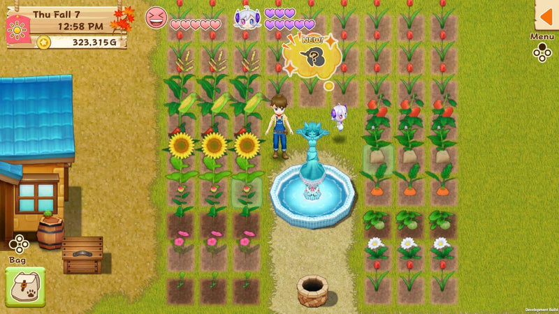 Harvest Moon: Light of Hope - Special Edition Complete [Nintendo Switch] Nintendo Switch Video Game Natsume   