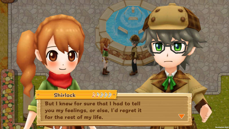Harvest Moon: Light of Hope - Special Edition Complete [Nintendo Switch] Nintendo Switch Video Game Natsume   