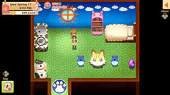 Harvest Moon: Light of Hope - Special Edition [Nintendo Switch] Nintendo Switch Video Game Nintendo   