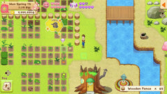 Harvest Moon: Light of Hope - Special Edition [Nintendo Switch] Nintendo Switch Video Game Nintendo   