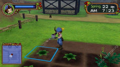 Harvest Moon: Save the Homeland [PlayStation 2] PlayStation 2 Video Game Natsume   