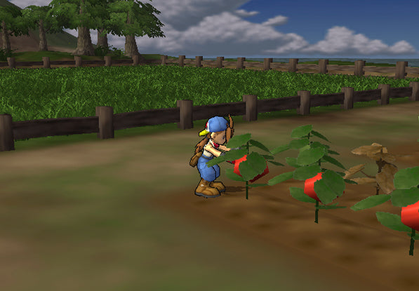 Harvest Moon: Save the Homeland [PlayStation 2] PlayStation 2 Video Game Natsume   