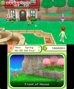 Harvest Moon: Skytree Village - Limited Edition [Nintendo 3DS] Nintendo 3DS Video Game Natsume   
