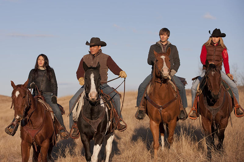 Heartland: The Complete Fifth Season [DVD Box Set] DVDs & Blu-Rays E1 Entertainment   