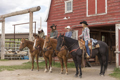 Heartland: The Complete Seventh Season [DVD Box Set] DVDs & Blu-Rays E1 Entertainment   