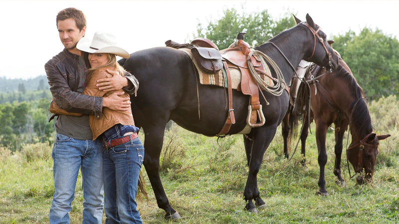 Heartland: The Complete Sixth Season [DVD Box Set] DVDs & Blu-Rays E1 Entertainment   