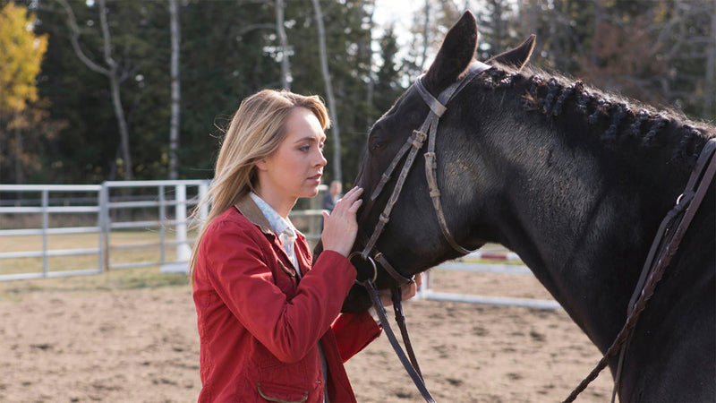 Heartland: The Complete Sixth Season [DVD Box Set] DVDs & Blu-Rays E1 Entertainment   