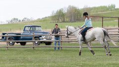 Heartland: The Complete Sixth Season [DVD Box Set] DVDs & Blu-Rays E1 Entertainment   