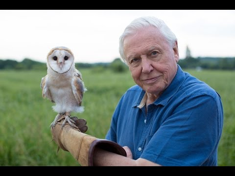 David Attenborough: The 3D Collection - Volume 2 [3D Blu-Ray Box Set] DVDs & Blu-Rays BBC   