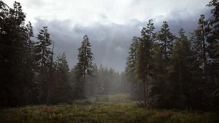 Hunting Simulator 2 [Xbox One] Xbox One Video Game Maximum Games   