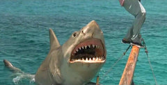 Jaws: 2, 3 & The Revenge [Blu-Ray Box Set] DVDs & Blu-Rays Universal Pictures   