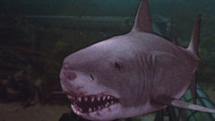 Jaws: 2, 3 & The Revenge [Blu-Ray Box Set] DVDs & Blu-Rays Universal Pictures   