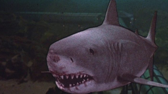 Jaws: 2, 3 & The Revenge [Blu-Ray Box Set] DVDs & Blu-Rays Universal Pictures   