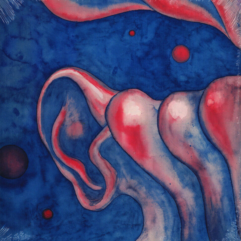 King Crimson - In The Court Of The Crimson King (An Observation By King Crimson): 50th Anniversary Edition [Audio Vinyl] Audio CD/Vinyl Panegyric   