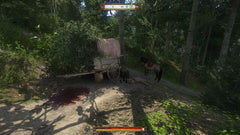Kingdom Come: Deliverance [PlayStation 4] PlayStation 4 Video Game Square Enix   