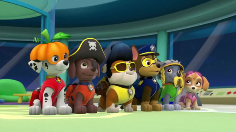 PAW Patrol: Pups Save Halloween [DVD] DVDs & Blu-Rays Elevation Pictures   