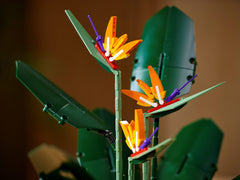 LEGO Botanical Collection: Bird of Paradise - 1173 Piece Building Kit [LEGO, #10289] LEGO LEGO   