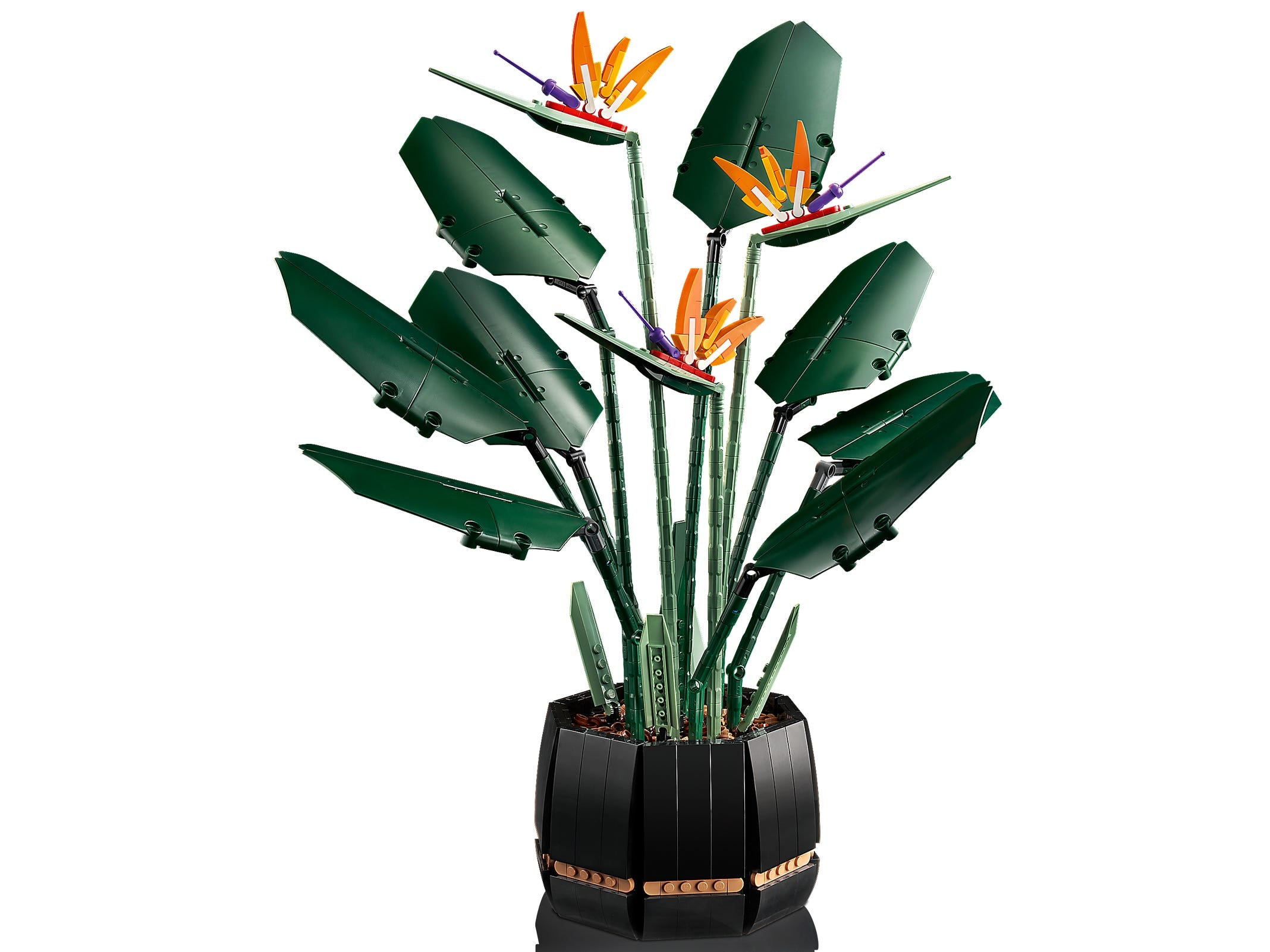 10289 Bird of Paradise Botanical outlet Collection 1173 pcs