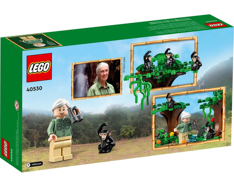 LEGO Jane Goodall Tribute - 276 Piece Building Kit [LEGO, #40530] LEGO LEGO   