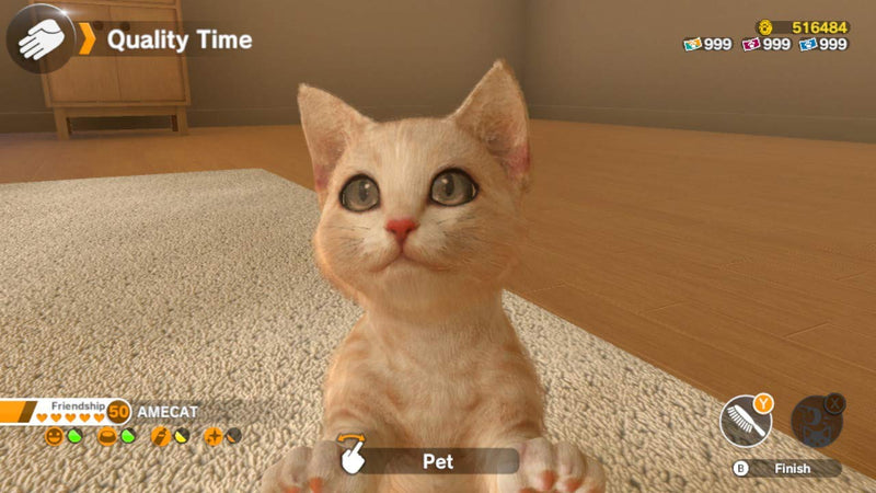 Little Friends: Dogs & Cats [Nintendo Switch] Nintendo Switch Video Game Sold Out   