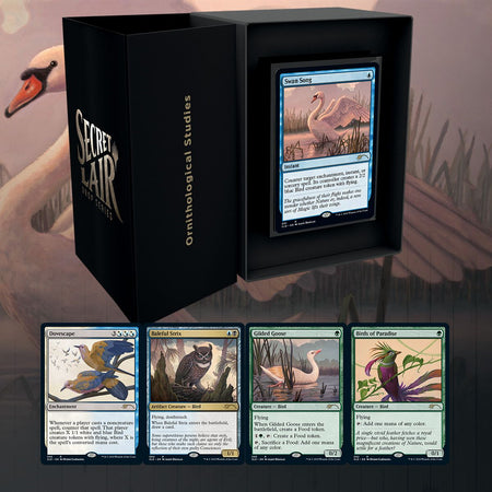 Magic: The Gathering TCG - Secret Lair Drop Series - Ornithological Studies Card Game Wizards of the Coast   