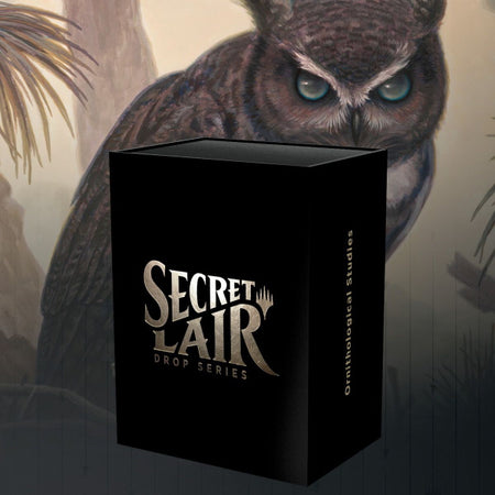 Magic: The Gathering TCG - Secret Lair Drop Series - Ornithological Studies Card Game Wizards of the Coast   