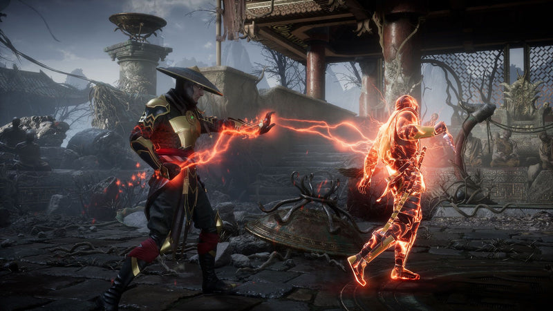 Mortal Kombat 11 [Nintendo Switch] Nintendo Switch Video Game Warner Bros.   