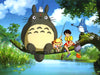 My Neighbor Totoro [DVD] DVDs & Blu-Rays Studio Ghibli   