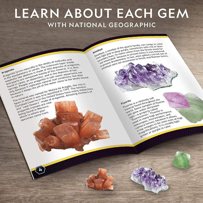 National Geographic Mega Gemstone Dig Kit [Toys, Ages 8+] Toys & Games National Geographic   