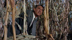 North by Northwest [Blu-Ray] DVDs & Blu-Rays Warner Bros.   