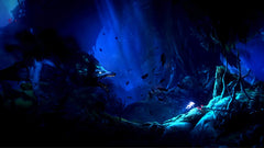 Ori and the Will of The Wisps [Nintendo Switch] Nintendo Switch Video Game iam8bit   