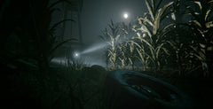 Outlast Trinity [PlayStation 4] PlayStation 4 Video Game Warner Bros.
