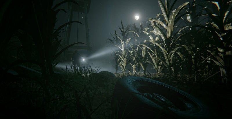 Outlast Trinity [PlayStation 4] PlayStation 4 Video Game Warner Bros.