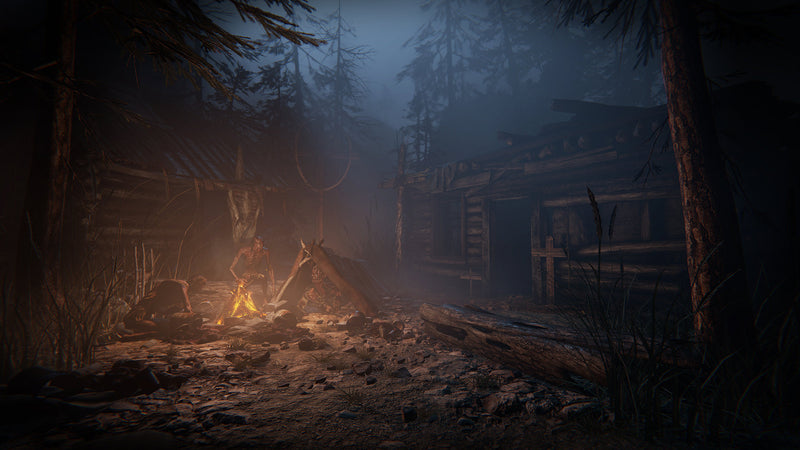 Outlast Trinity [PlayStation 4] PlayStation 4 Video Game Warner Bros.
