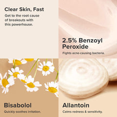 Paula's Choice Regular Strength Daily Skin Clearing Treatment with 2.5% Benzoyl Peroxide - 67mL / 2.25 fl oz [Skincare] Skincare Paula's Choice   