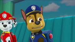 PAW Patrol: 3 DVD Gift Set [DVD Box Set] DVDs & Blu-Rays EOne   