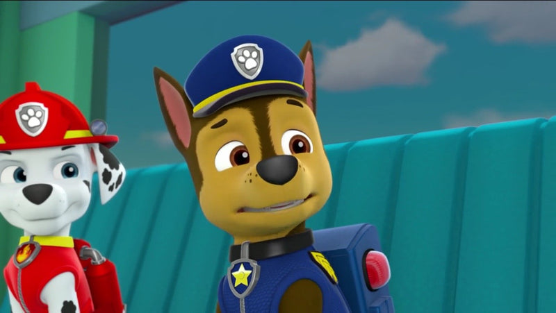 PAW Patrol: 3 DVD Gift Set [DVD Box Set] DVDs & Blu-Rays EOne   