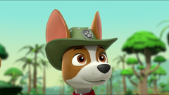 PAW Patrol: 3 DVD Gift Set [DVD Box Set] DVDs & Blu-Rays EOne   
