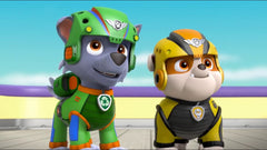 PAW Patrol: Air Patrol [DVD] DVDs & Blu-Rays Elevation Pictures   